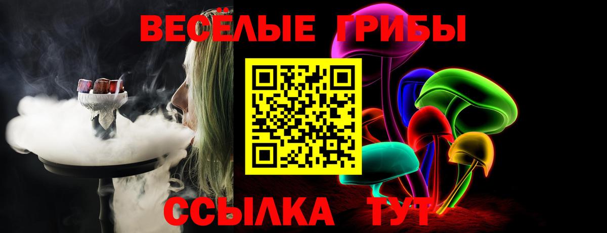 хочу наркоту  Псилоцибиновые грибы ЛСД  Сосновоборск  Вход с VPN  Псилоцибиновые грибы мухоморы 